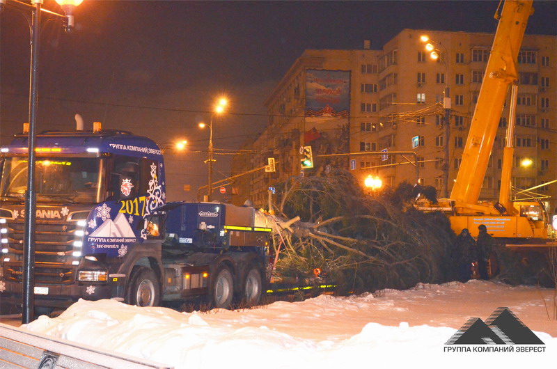 Перевозка растений в Москве